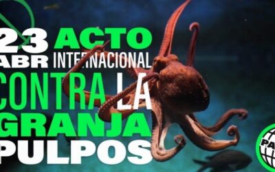 Segundo acto internacional contra la granja de pulpos de Las Palmas