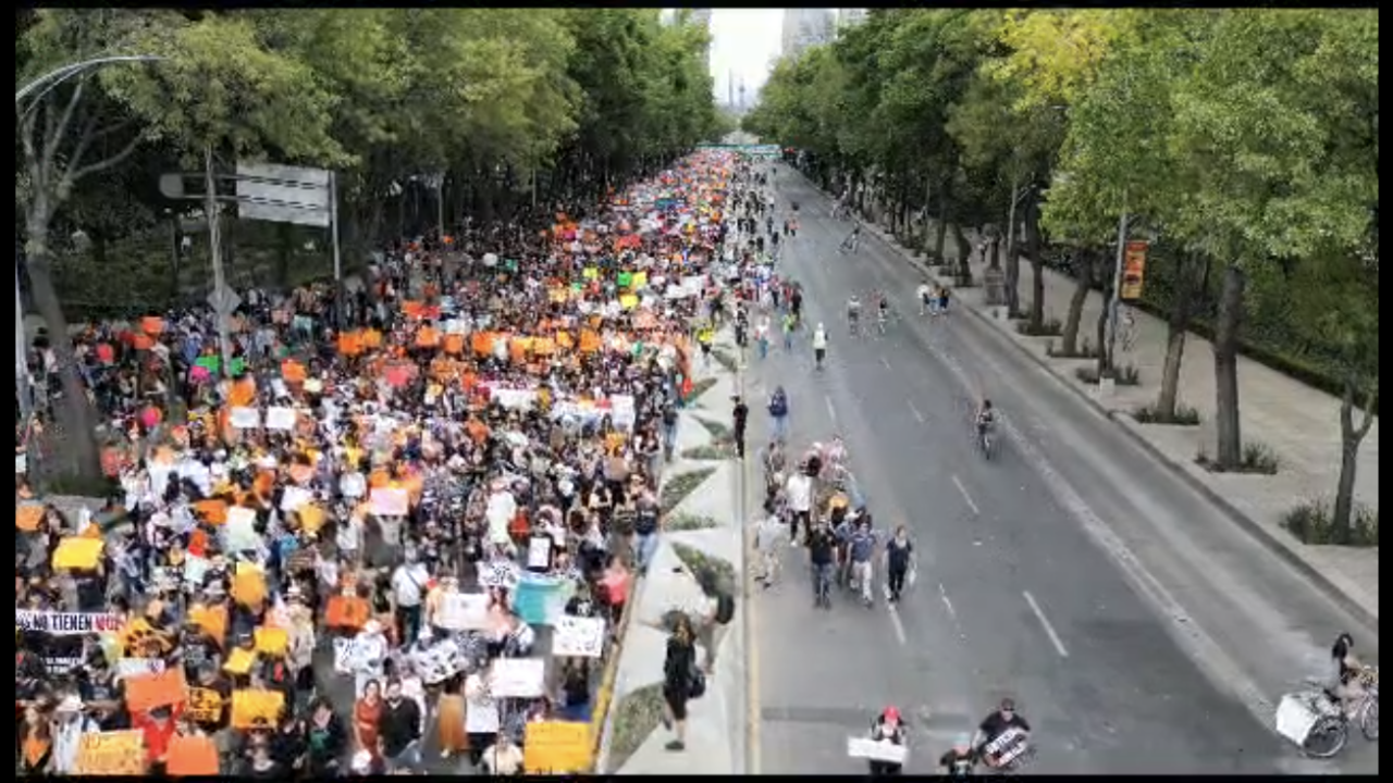 Marcha por los derechos de los animales en la CdMx ...
