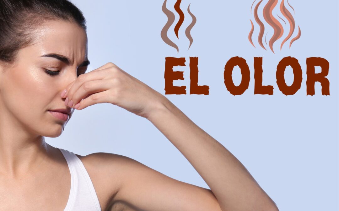 El olor