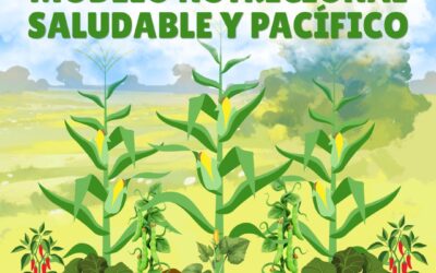 Dieta de la milpa: modelo nutricional saludable y pacífico