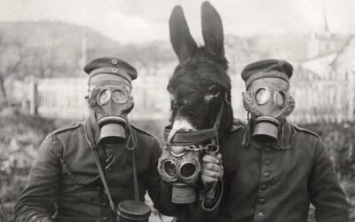 Animales no humanos: víctimas en tiempos de paz y de guerra. Annamaria Manzoni, 26 de junio de 2026
